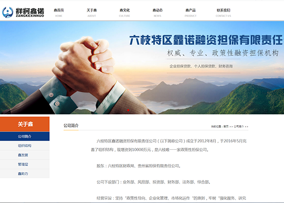 鑫諾融資擔保公司(六枝財政局)